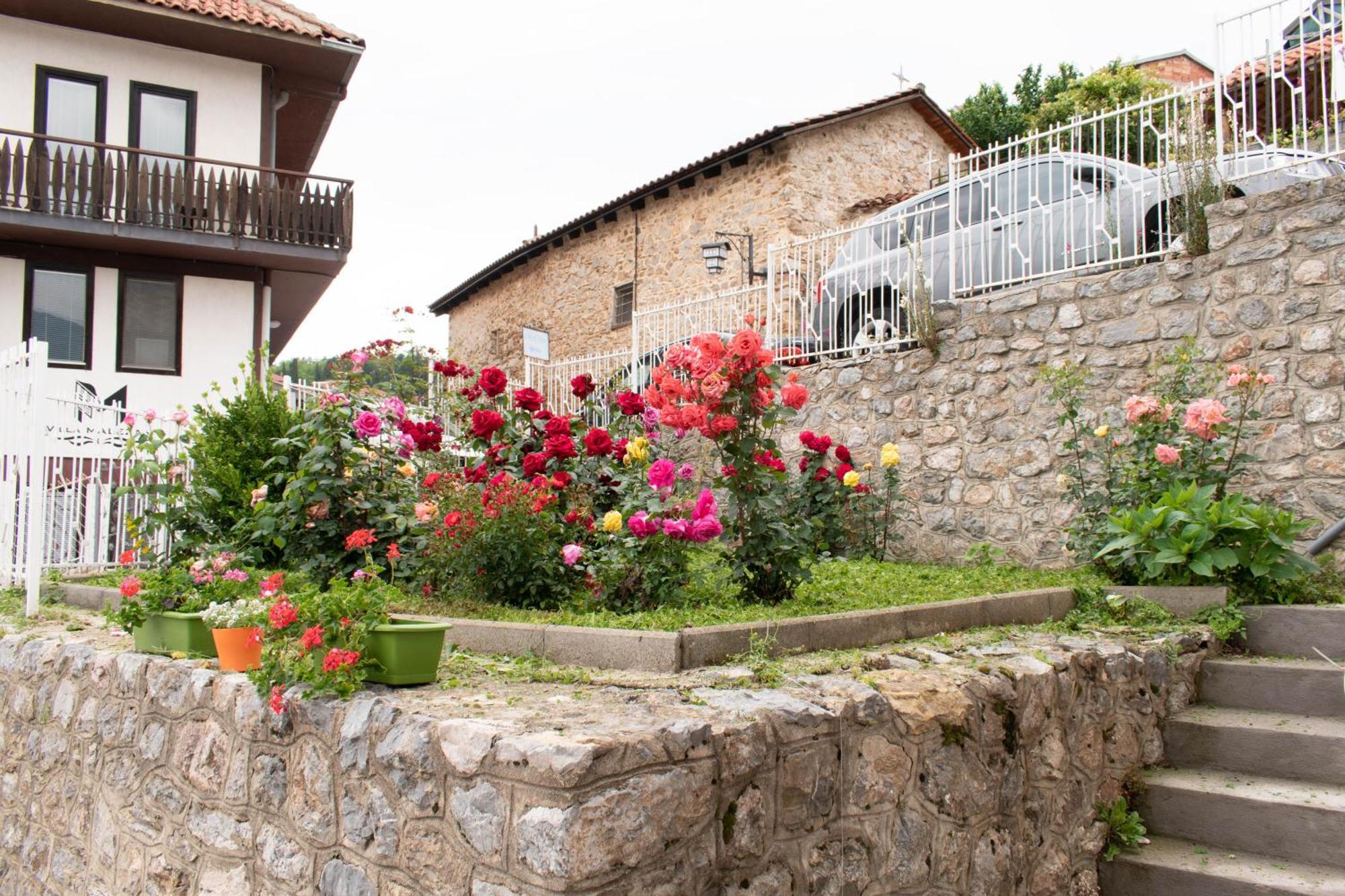 Meli Apartment Ohrid Bagian luar foto